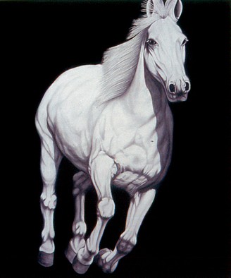 Joseph Piccillo, No. 19, 2006
Graphite on canvas, 72 x 60 inches
PICC0003