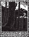 MC Escher, Emblemata Suite: Squirrel (B. 176)
Edition 257/300
1931, Woodcut