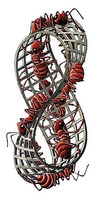 MC Escher, Moebius Strip II (Red Ants) (B. 441)
Signed, 1963
Woodcut in red, black and grey-green, printed from three blocks, 17 7/8 x 8 1/8 inches
ESCH0065