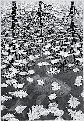 MC Escher, Three Worlds (B.405), 1955
Lithograph, 14 1/4 x 9 3/4 inches
On afternoon standing on a bridge Escher could see three seperate worlds. First, the underwater world ruled by fish. Second, a world on the surface of the water littered with leaves. And, the last outside world is reflected in the water.
ESCH0029