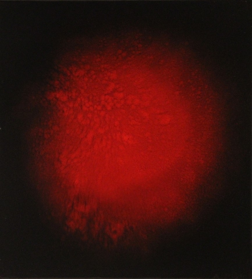 Natvar Bhavsar, SAUMYA II, 2010
Dry pigment and acrylic on Canvas, 23 x 21 inches
17