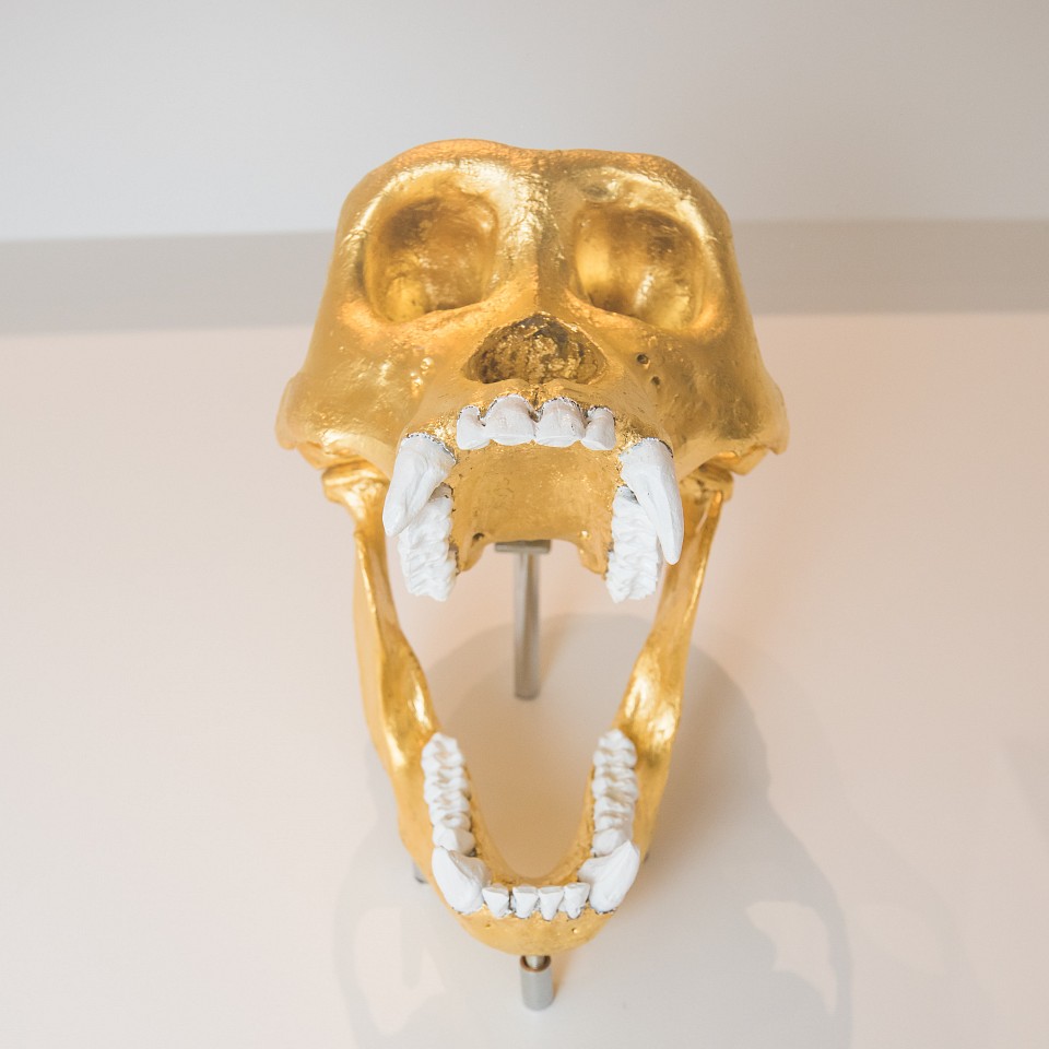 William Rosewood, Fabunni: Reproduction Skull of a Mountain Gorilla, 2015
Mixed media
ROSE0001