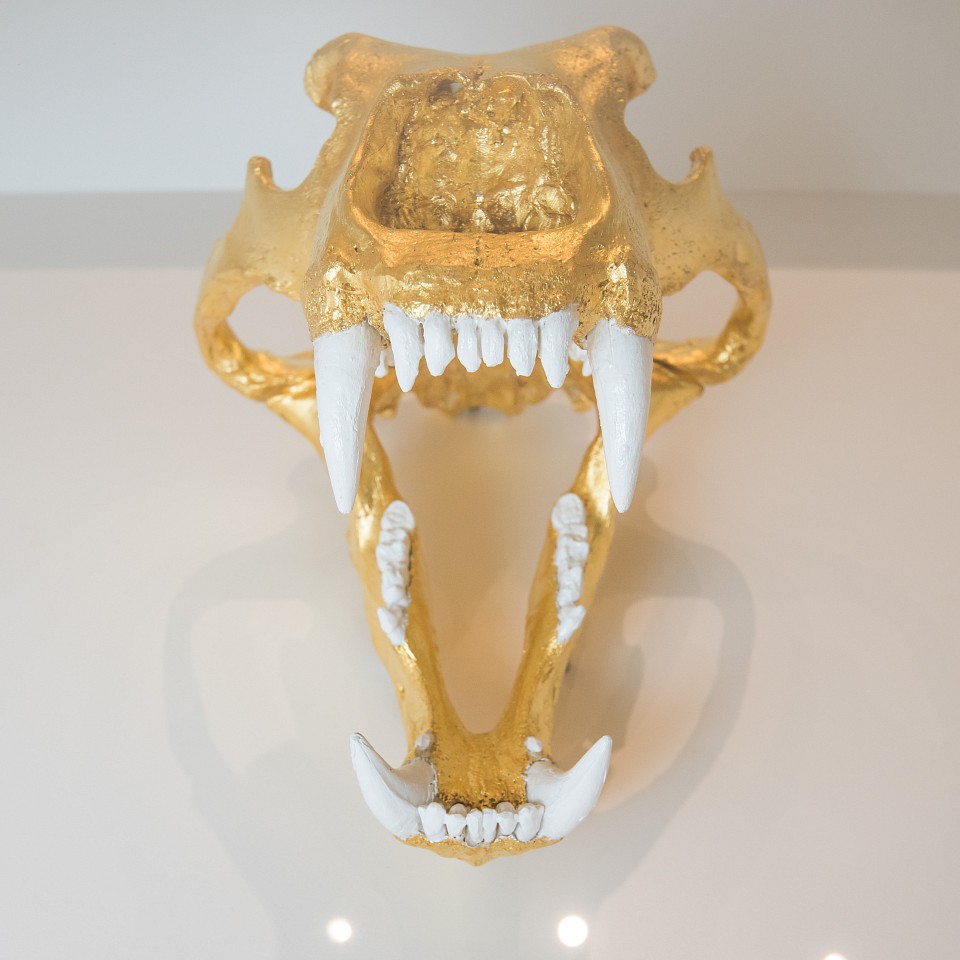 William Rosewood, Nanook: Reproduction Skull of a Polar Bear, 2015
Mixed media
ROSE0000