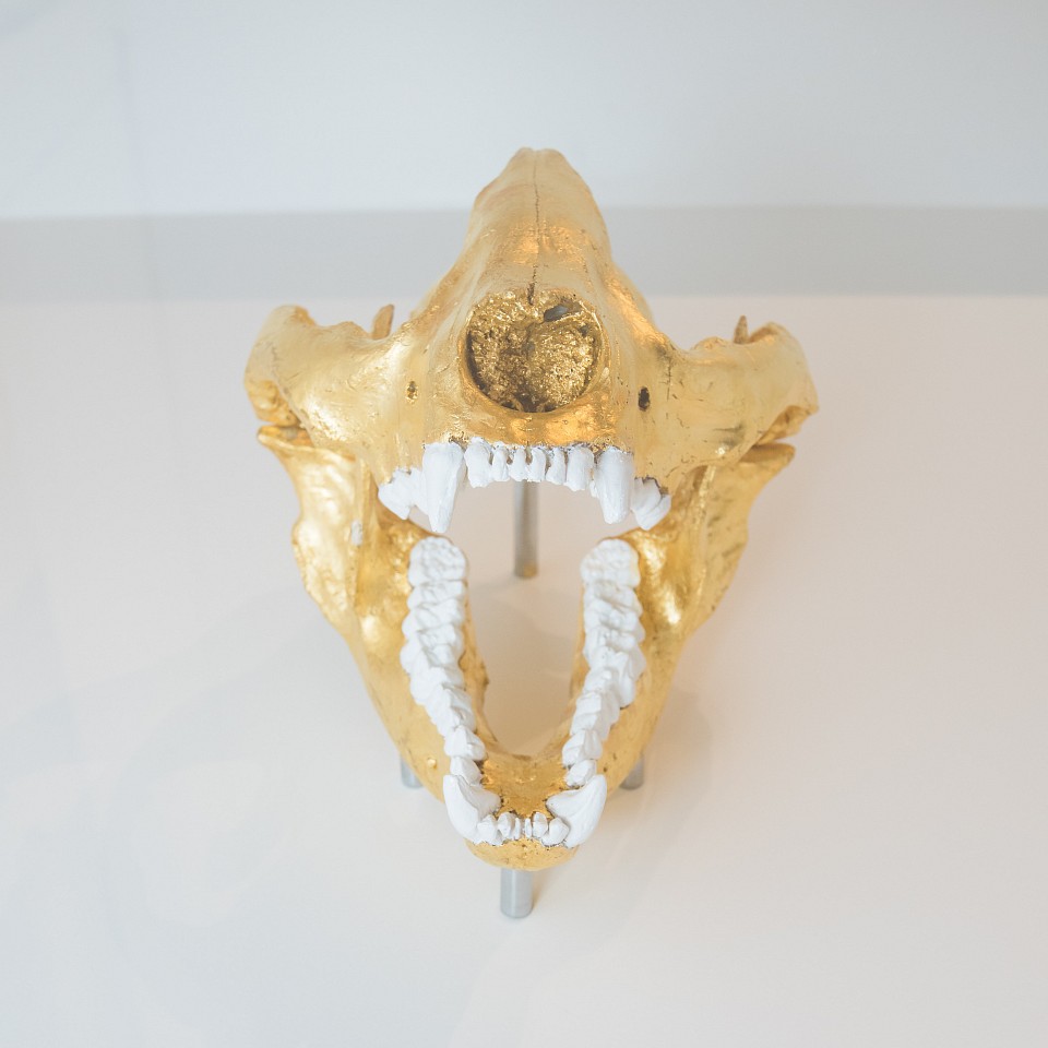 William Rosewood, Wei: Reproduction Skull of a Giant Panda, 2015
Mixed media
ROSE0002