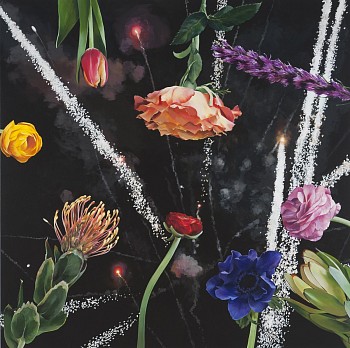 Work: Ben Schonzeit Fireworks