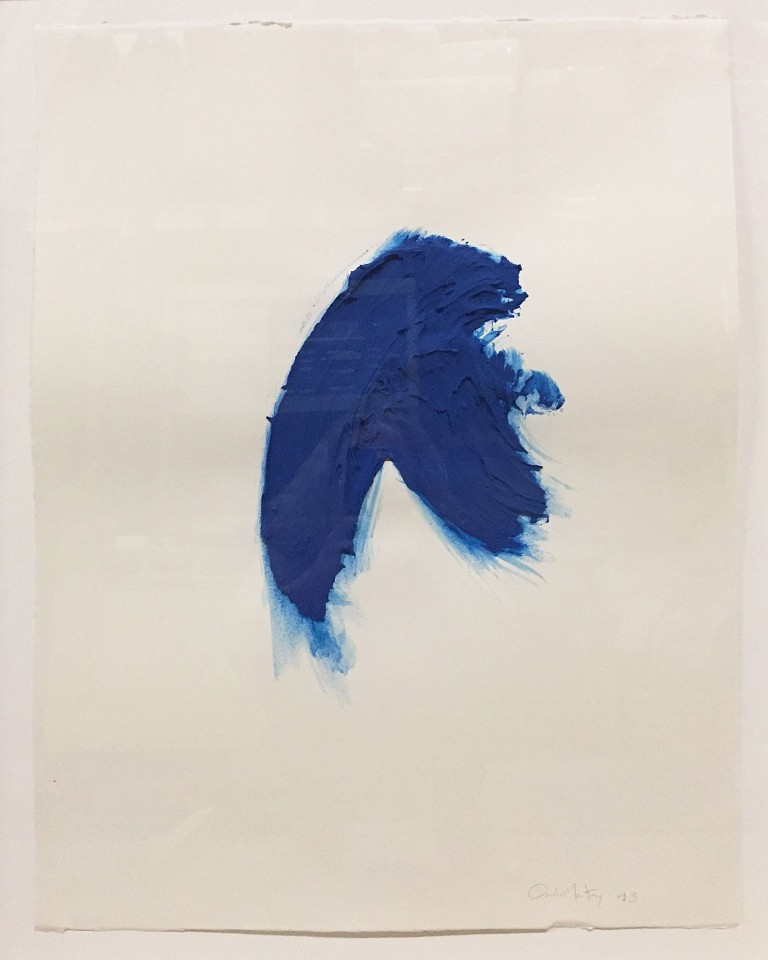 Donald Martiny, Untitled, 2013
polymer and pigment on paper, 26 x 20 in. paper, 33 x 26.5 in. frame
blue
MART0039
