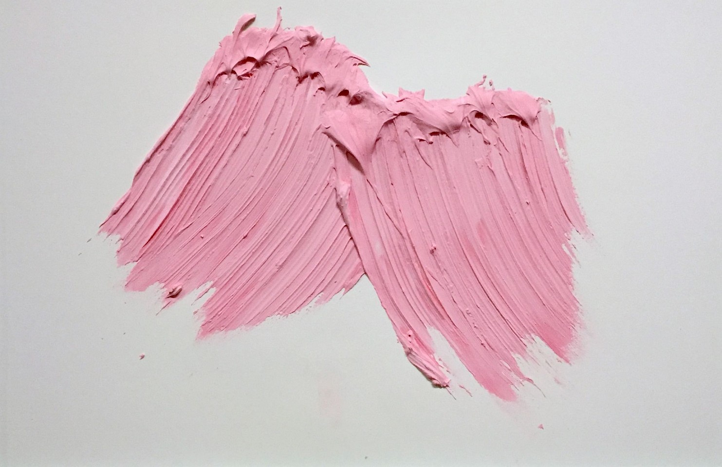 Donald Martiny, Untitled, 2017
polymer and pigment on paper, 22.75 x 30.5 in. paper
pink
MART0046