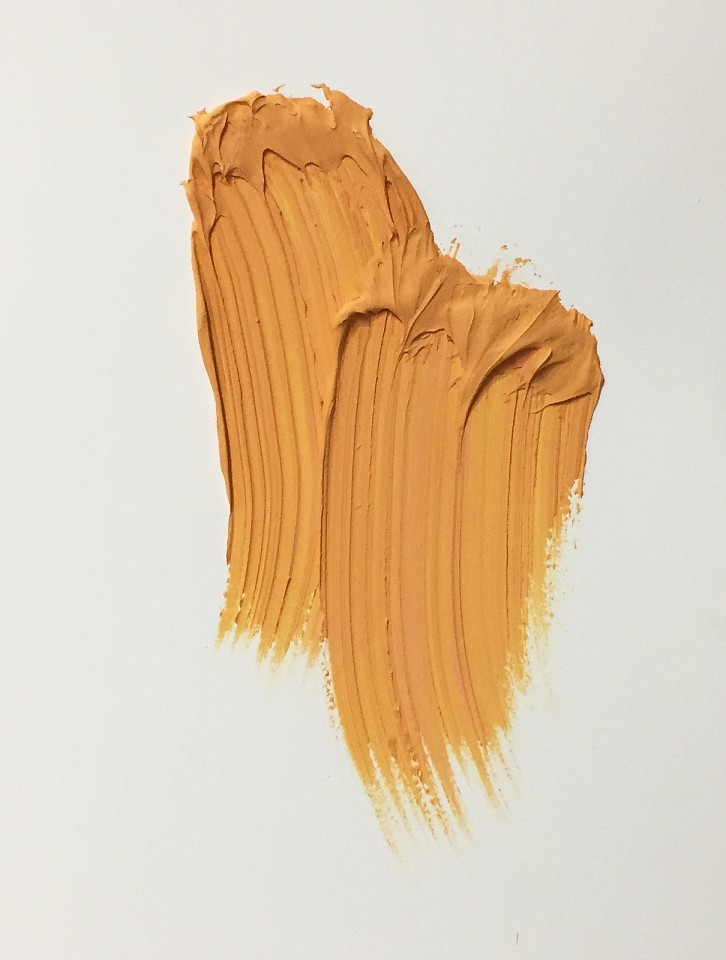 Donald Martiny, Untitled, 2018
polymer and pigment on paper, 18 x 13 in. paper, 25.5 x 19.25 in. frame
mustard
MART00088