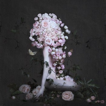 Isabelle van Zeijl - Z Revive