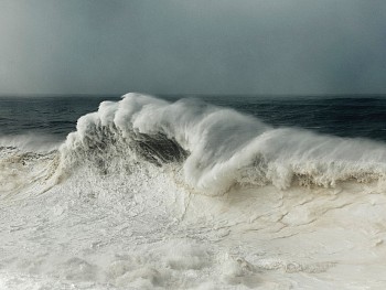 Alessandro Puccinelli - Z Mare 418