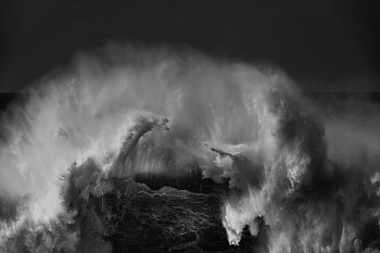 Alessandro Puccinelli - Z Mare 426