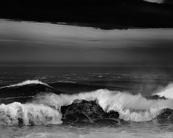 Alessandro Puccinelli - Z Mare 468