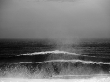 Alessandro Puccinelli - Z Mare 486