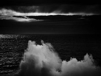 Alessandro Puccinelli - Z Mare 500