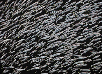 Exhibition: Intersect Aspen 2024, Doug Argue