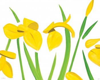 Alex Katz -&nbsp;Z Yellow Flags on White; edition of 100