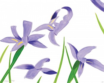 Alex Katz -&nbsp;Z Purple Irises on White; edition of 100