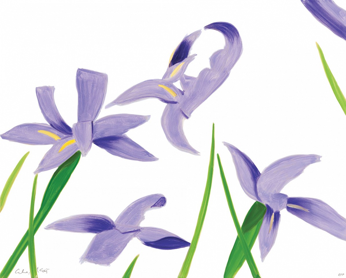 Alex Katz, Z Purple Irises on White; edition of 100, 2023
Archival pigment print on Innova Etching Cotton Rag 315 gsm fine art paper, 24 x 30 inches (unframed)
KATZ00115