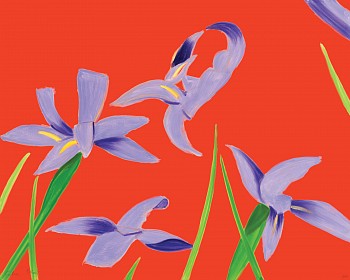 Alex Katz -&nbsp;Z Purple Irises on Red; edition of 100
