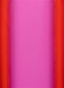 Ruth Pastine, Magenta Red (Rise Series)
2023, Oil on canvas on beveled stretcher