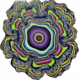 Holton Rower Biography