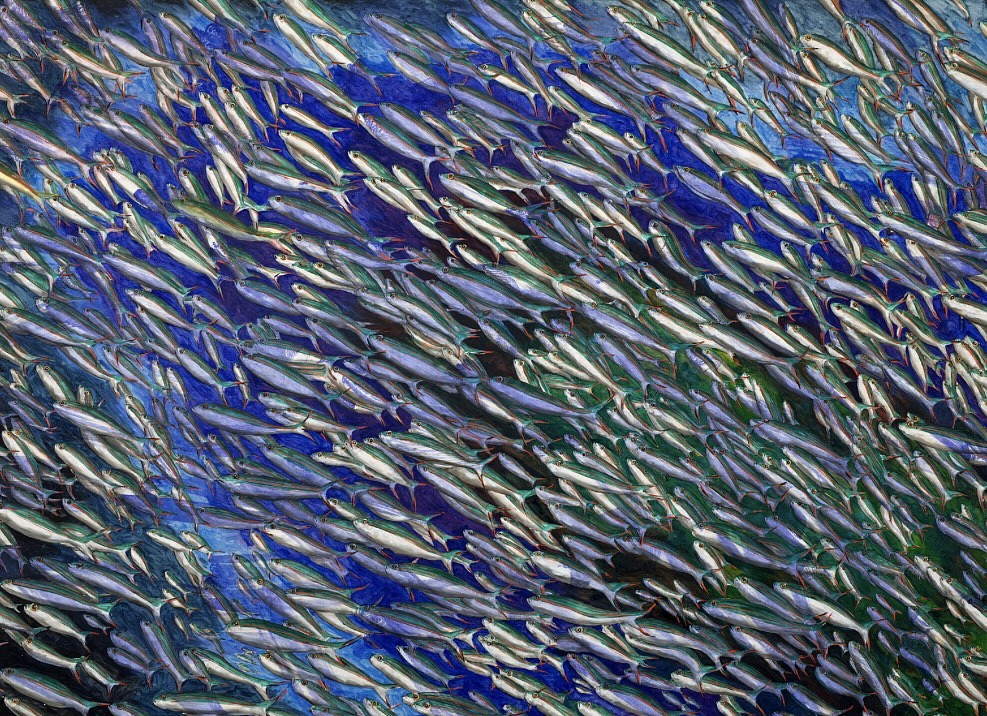 Doug Argue, Untitled, 2024
Oil on Linen, 52 x 72 in.
Doug Argue’s Untitled (2024) is a dynamic oil on linen painting featuring a flowing school of shimmering fish set against a textured blue background. The artwork explores themes of movement, repetition, and natural interconnectedness through vibrant color and rhythmic composition.
ARGU00007