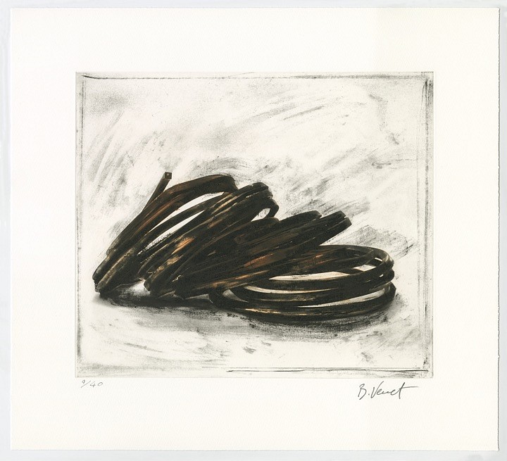 Bernar Venet, Effrondrement Lignes Indéterminées (Print 3, from the suite of 6), edition of 40, 2022
Etching, 19 x 21 in.
VENE00014