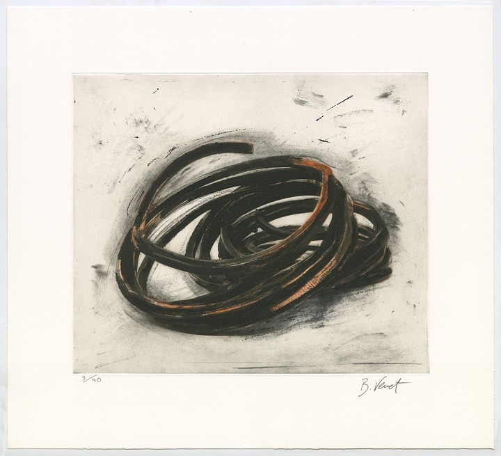 Bernar Venet, Effrondrement Lignes Indéterminées (Print 2, from the suite of 6), edition of 40, 2022
Etching, 19 x 21 in.
VENE00013