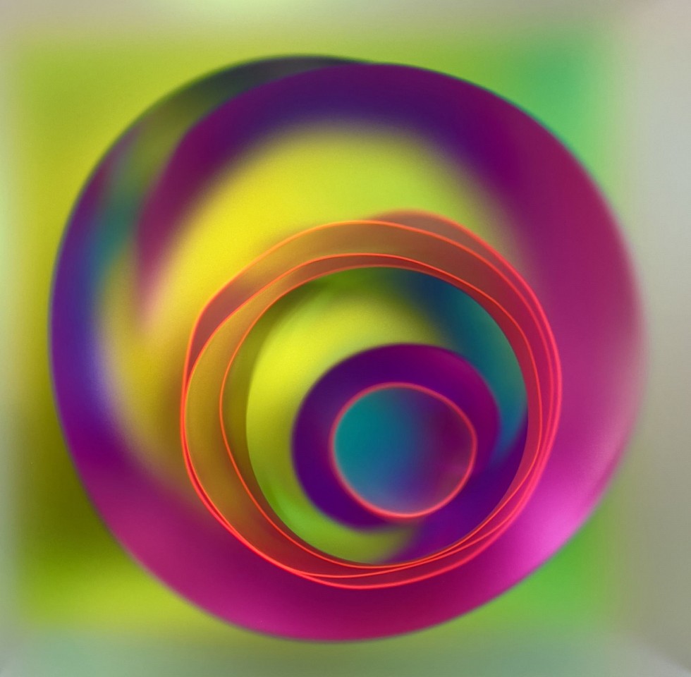 C Dutch, Evolution at Work, 2024
Mixed Media in Lucite Box, 16 x 16 in.
DUTC00005