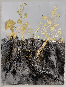 Jill Hotchkiss -&nbsp;Earthbound
