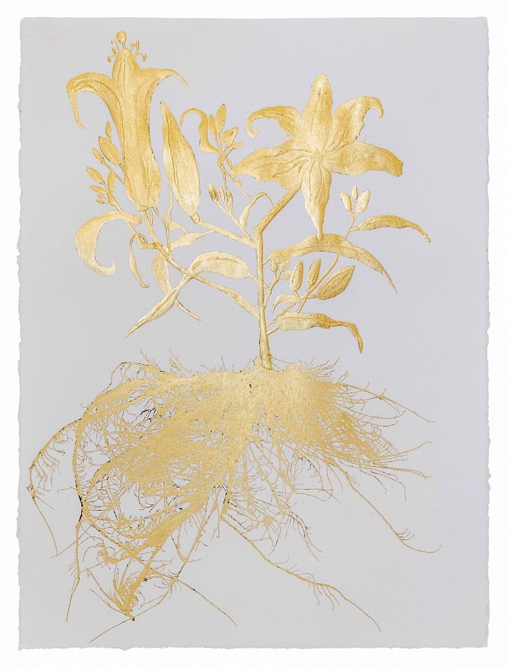 Jill Hotchkiss, Gilded Lilly 03, 2026
gold leaf on Arches archival cotton paper, 30 x 22 in. paper / 36 x 28 inches framed
HOT00010