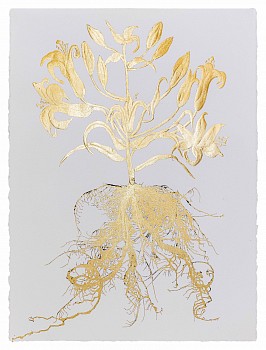 Jill Hotchkiss -&nbsp;Gilded Lilly 02