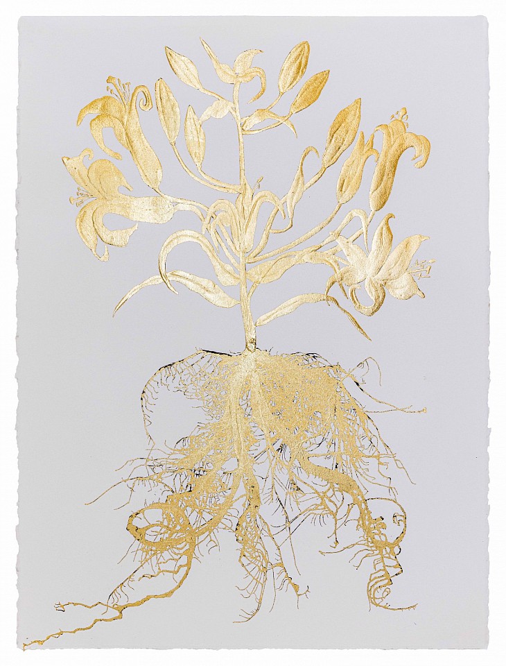 Jill Hotchkiss, Gilded Lilly 02, 2026
gold leaf on Arches archival cotton paper, 30 x 22 in. paper / 36 x 28 inches framed
HOT00009