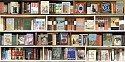 Max-Steven Grossman, Z Banned Books TW
2026, diasec mounted photo